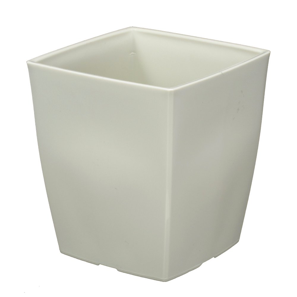 がーべらページ 3号鉢 ちょこん札付きポットごと 楽天市場】カラフル（